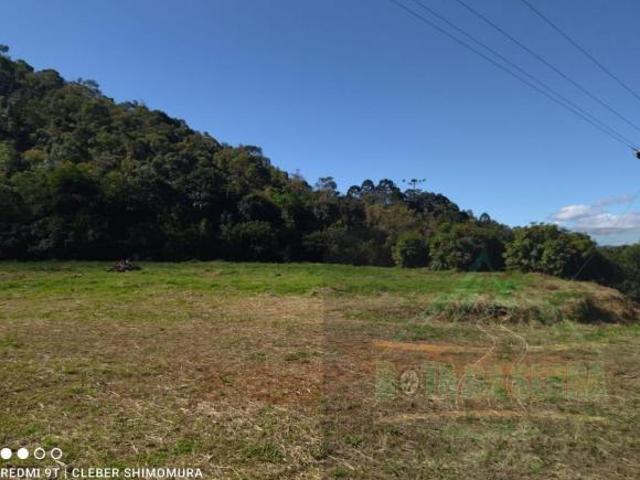 Terreno para venda em Sapucaí Mirim