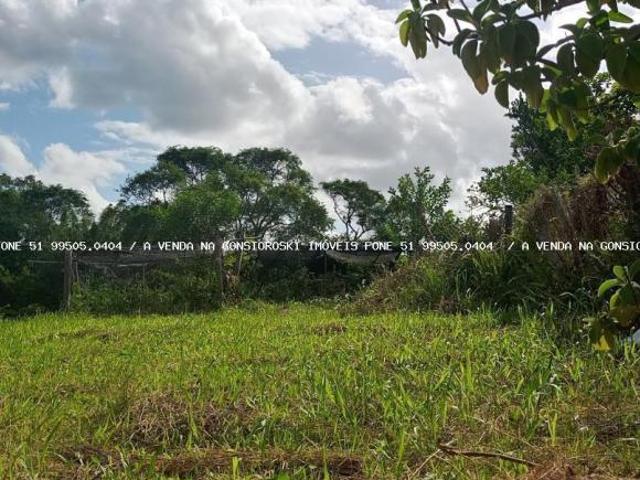 Terreno para Venda em Sertão Santana, Centro