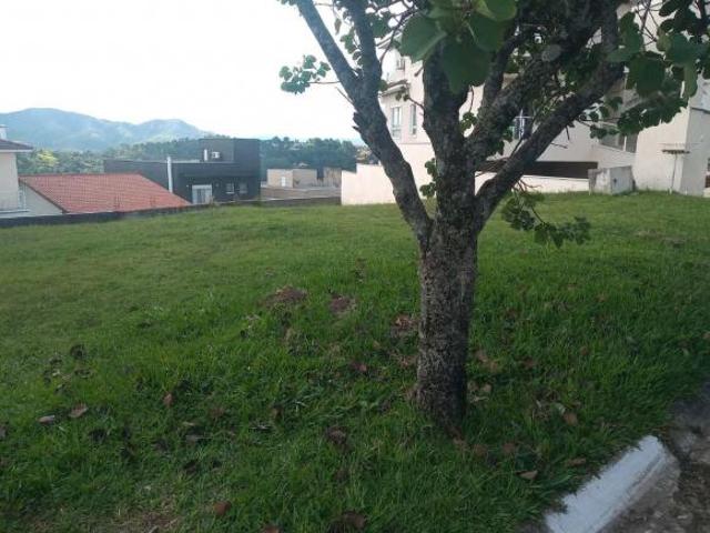 Terreno para venda em Suru de 319.00m²
