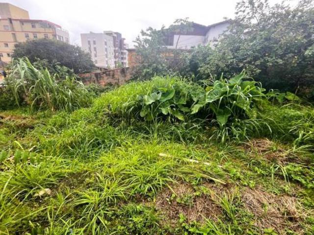 Terreno para venda em Padre Eustáquio, Belo Horizonte