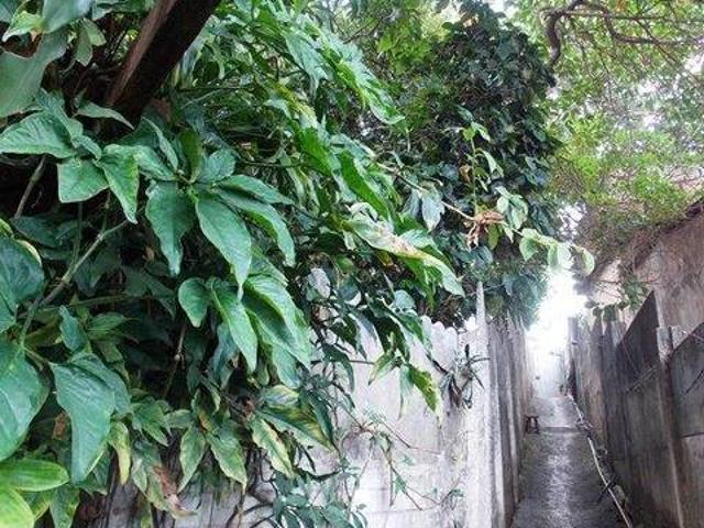 Terreno para venda em Palmeiras, Belo Horizonte
