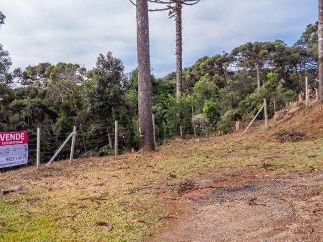 Terreno para venda em Palmitalzinho de 5000.00m²