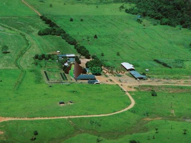 Terreno para venda em Paranaíta