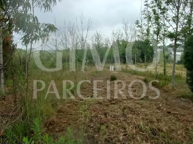 Terreno para venda Em Paredes do Bairro