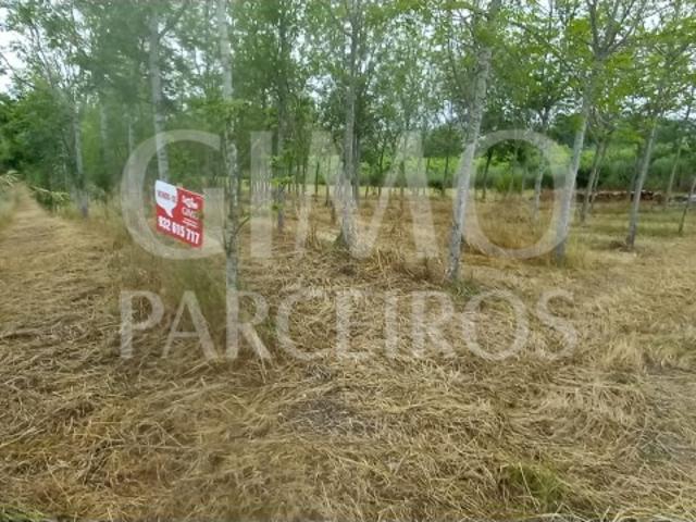 Terreno para venda Em Paredes do Bairro