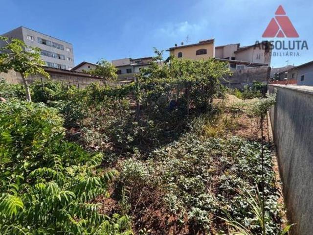 Terreno para venda em Parque Novo Mundo de 315.00m²