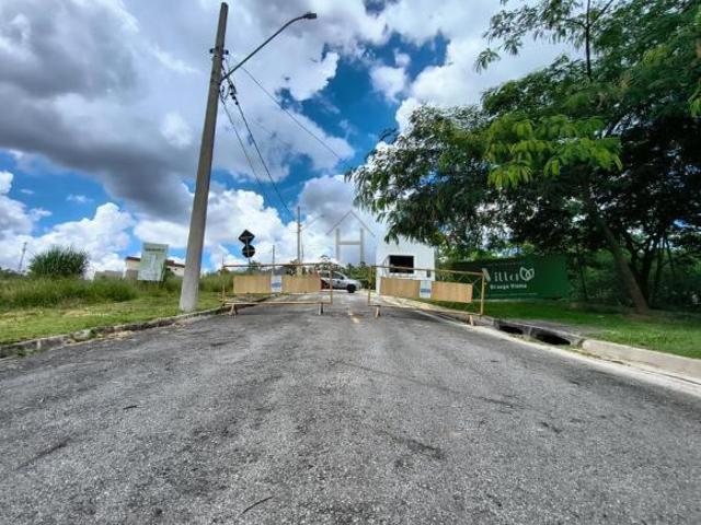 Terreno para venda em Parque Alexandre de 175.26m²