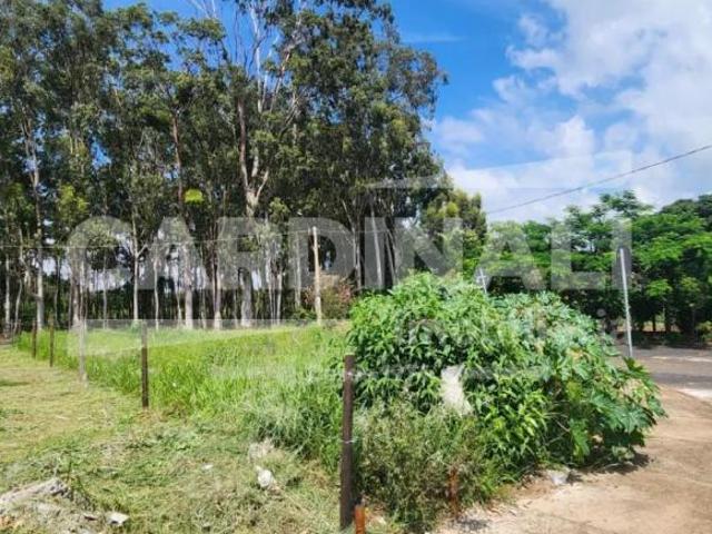 Terreno para venda em Parque Dos Flamboyant de 229.00m²