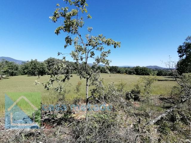 Terreno para venda em Peraboa