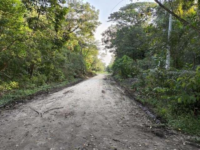 Terreno para Venda em Peruíbe, Guaraú