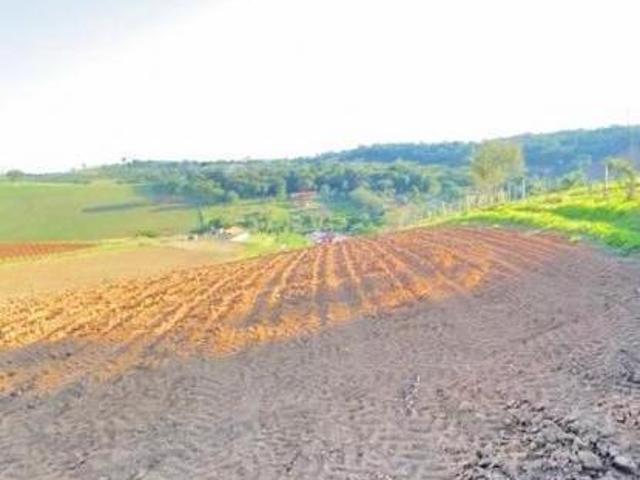 Terreno para Venda em Pinhalzinho