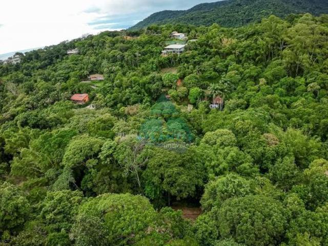 Terreno para venda em Praia Do Pulso de 998.00m²