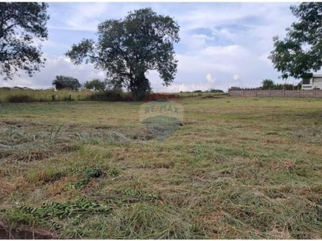 Terreno para venda em Recreio Das Acácias de 5000.45m²