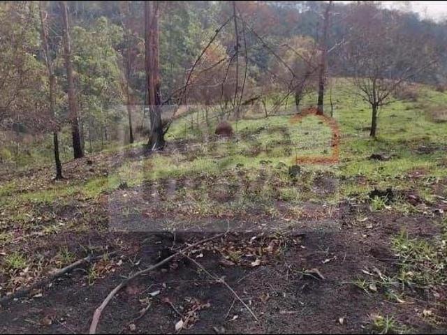 Terreno para venda em Registro de 24000.00m²