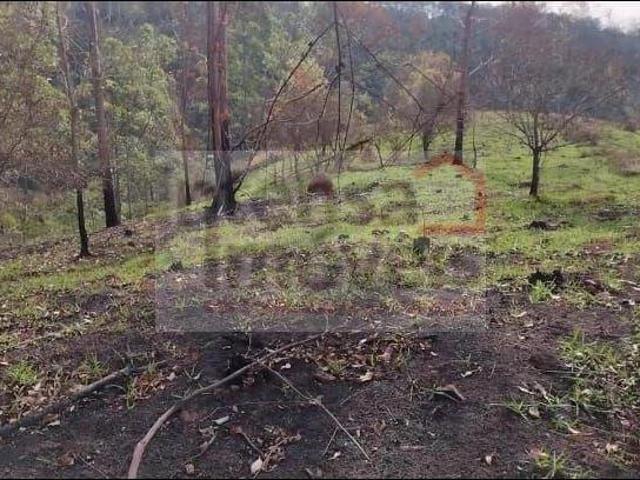 Terreno para venda em Registro de 24000.00m²