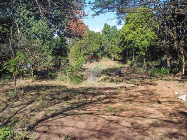 Terreno para venda em Residencial Santa Mônica de 2500.00m²