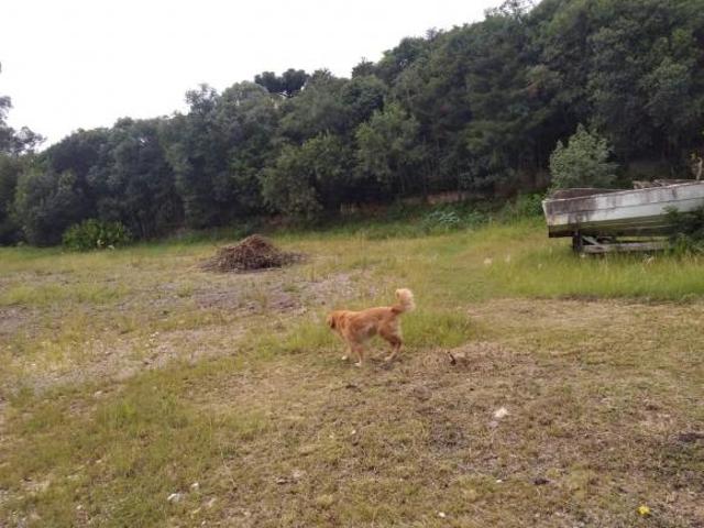 Terreno para venda em Riviera de 50.00m²