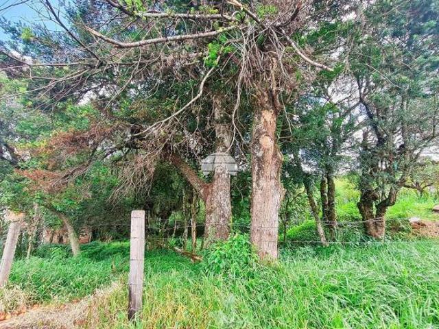 Terreno para venda em Rio Pequeno de 11.00m²