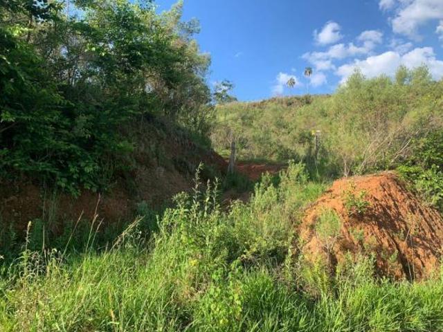 Terreno para Venda em Toledo, Rural
