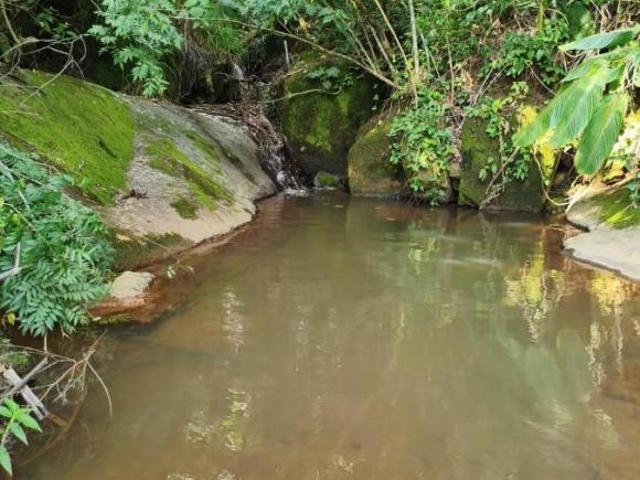 Terreno para Venda em Toledo, Rural