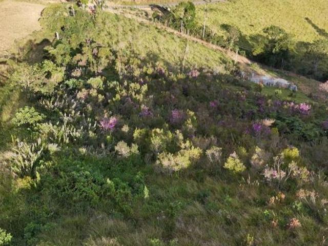 Terreno para Venda em Toledo, Rural