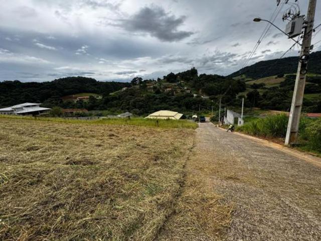 Terreno para Venda em Toledo, Rural