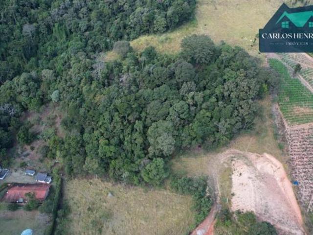 Terreno para venda em Toledo