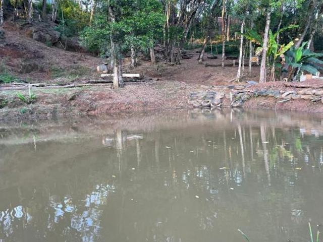 Terreno para Venda em Toledo