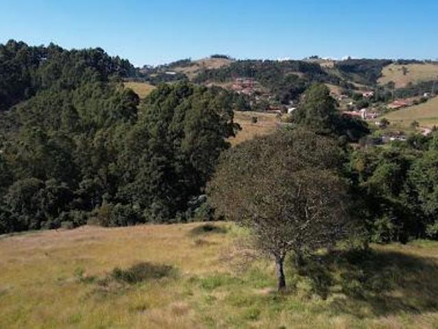 Terreno para venda em Toledo