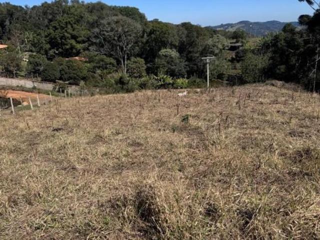 Terreno para Venda em Toledo