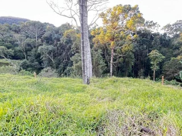 Terreno para Venda em Toledo