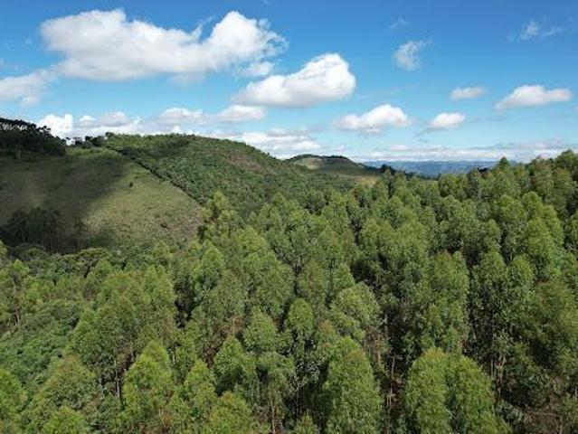 Terreno para venda em Toledo