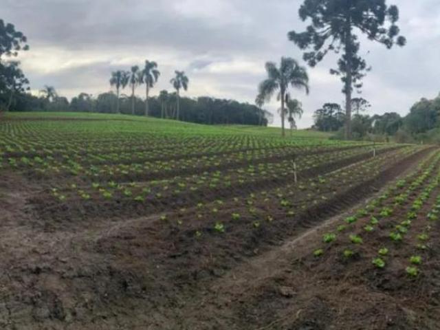 Terreno para venda em Umbará de 21000.00m²