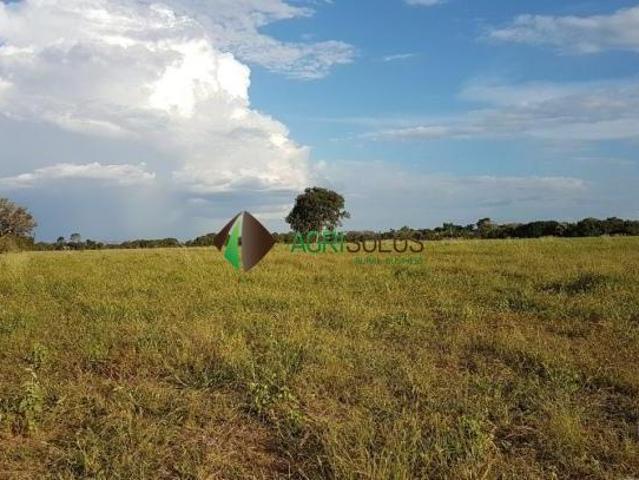 Terreno para venda em Uruaçu
