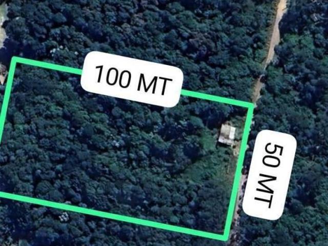 Terreno para venda em Vale Das Castanheiras de 5000.00m²