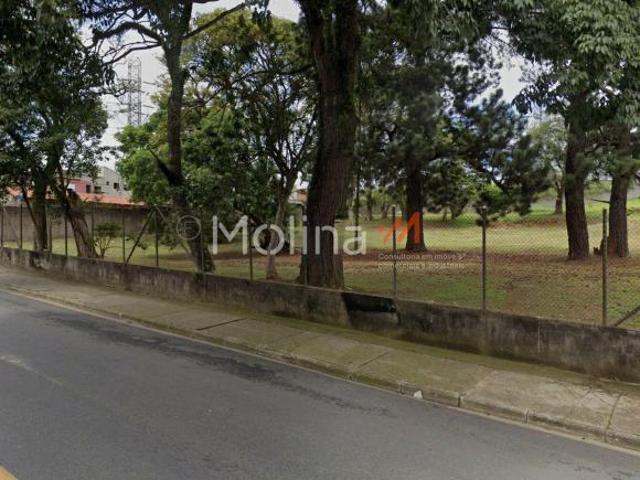 Terreno para venda em Vila Cintra de 4300.00m²