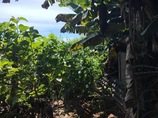 Terreno para venda em Vila Santa Luzia, Alfenas