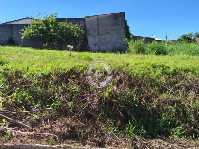 Terreno para venda em Vila Santa Maria, São Sebastião do Par