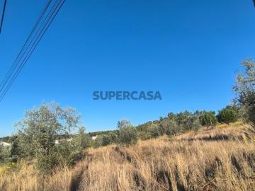 Terreno Para Venda Ortiga Mação