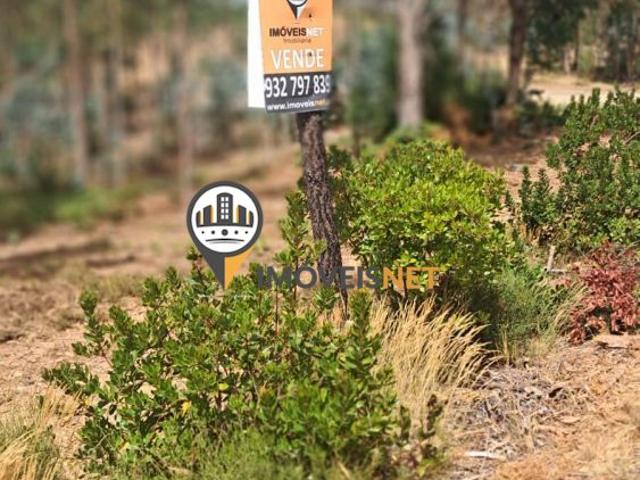 Terreno para Venda, Orvalho, Castelo Branco