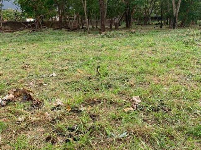Terreno para Venda ou Locação de 5000 m² no Recreio Anhanguera em Ribeirão Preto