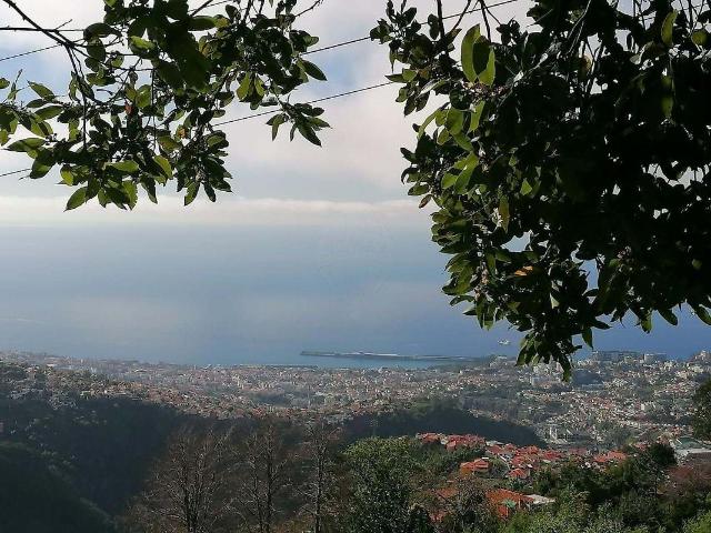 Terreno para venda m² São Roque Funchal