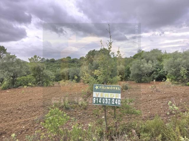 Terreno para venda no Concelho de Alcanena