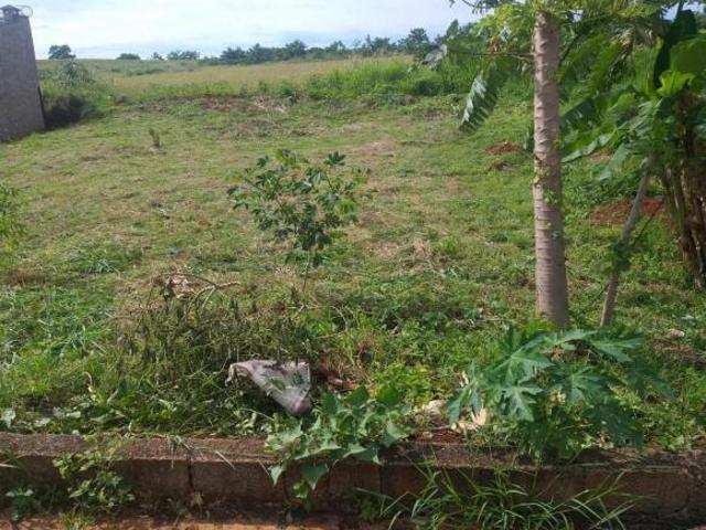 Terreno para Venda no Bairro Bom Jardim em Dumont/SP