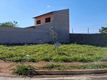Terreno para Venda no bairro Jardim Cristo Redentor, em Ribeirão Preto