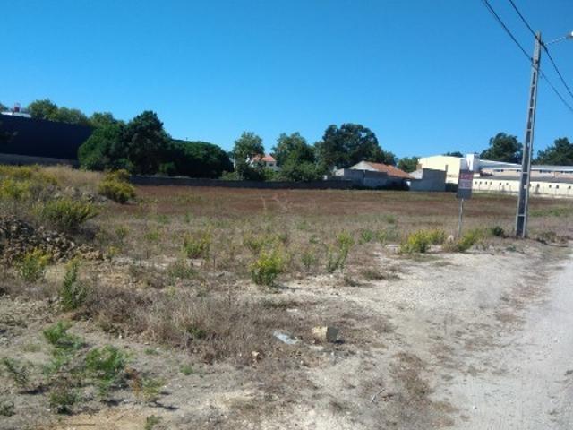 Terreno para venda no Entroncamento