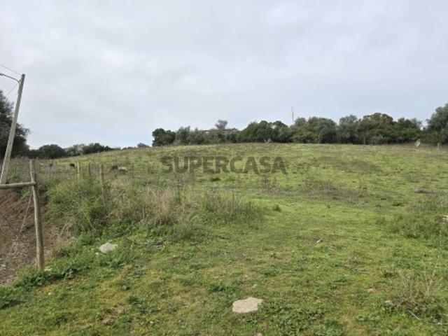 Terreno para venda na Azoia de Baixo
