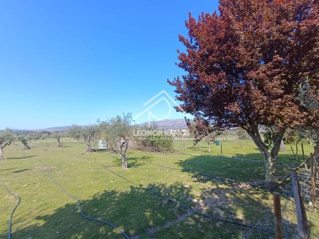 Terreno para venda na Soalheira