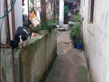Terreno para Venda por R$580.000,00 com 340m² Vila humaitá, Santo andré / SP Cód. BDI44748