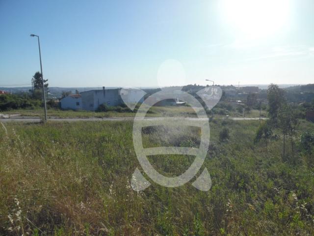 Terreno para venda, Quinta da Mainça, Coimbra